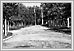  Rue Main regardant à l’ouest de l’avenue Bannatyne. 03-102 Illustrated Souvenir of Winnipeg 1903 RBR FC 3396.37.M37 UofM Special Archives